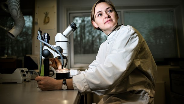 Rollemodeller kan få flere kvinder til at vælge STEM-uddannelser, skriver Ghita Wolf Andreasen, Henriette Tolstrup Holmegaard og Nynne Afzelius.