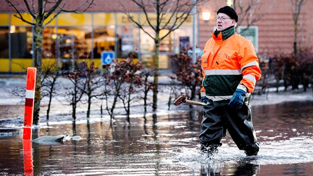 Radikale vil afsætte kvart milliard til kommunal klima- og kystfond