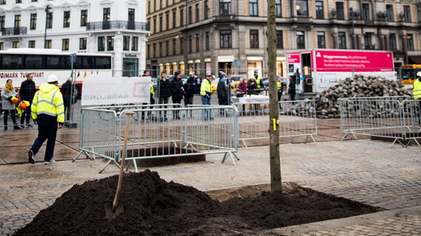 Green Cities: København bør lære af Stockholm og prioritere mere natur