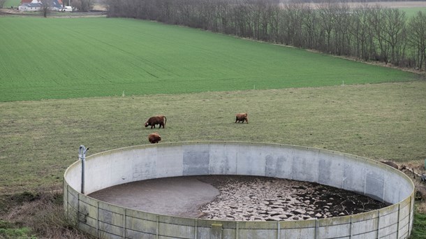 Udskudt landbrugsudspil vækker grøn bekymring