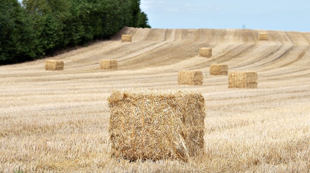 Halm, organisk gødning og restfibre fra biogas kan bruges i pyrolse, der kan være med til at lagre og reducere CO2.