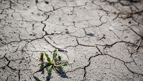 Klimaforandringer har afgørende økonomiske og politiske konsekvenser i udviklingslande og bør tænkes ind i den brede udviklingsstrategi, skriver forskere fra Diis. 