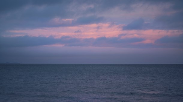 Forskere om kvælstofudledning til havet: 