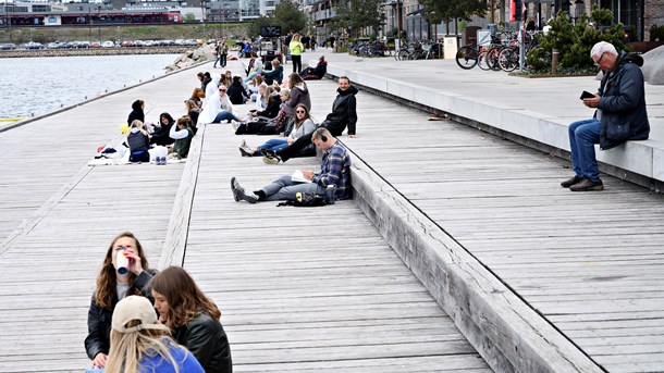 By & Havn: Nej, vi er ikke tvunget ud i at sælge uerstattelige naturområder