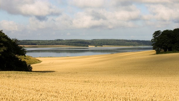 Landbrug & Fødevarer: Fjern landmandens frygt for naturen