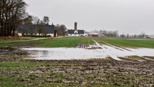 Professor og fhv. vandchef: Klimatilpasning går hånd i hånd med natur og vandmiljø