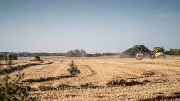 Kronik: "Det landbrug, vi har i dag, er ikke udtryk for, hvad landmændene helst vil"