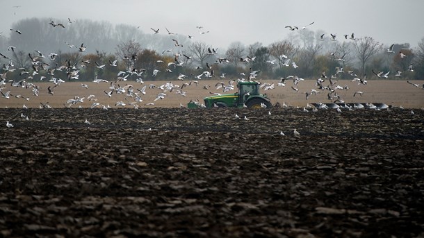 Hvis vi anstrenger os lidt, kan vi få en tiltrængt landfornyelse til gavn for biodiversitet, vækst og udvikling i landdistrikterne, skriver Jacob Bjerregaard (S).