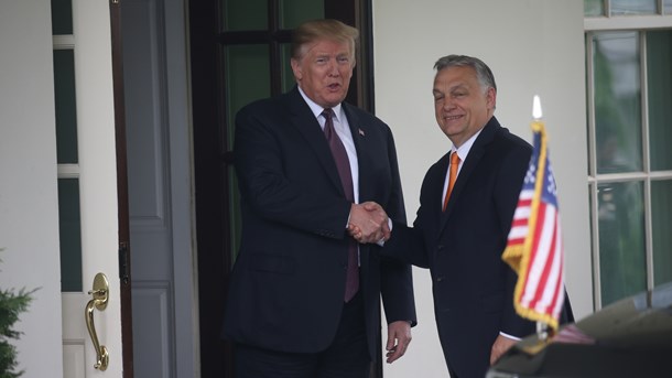 Orban har ligesom Trump behov for at hans modstandere dæmoniser ham, skriver Zsuzsanna Szelényi.