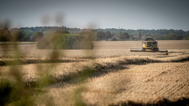 Økologisk Landsforening: Miljøudspil for landbruget skal gøre op med lapperegulering