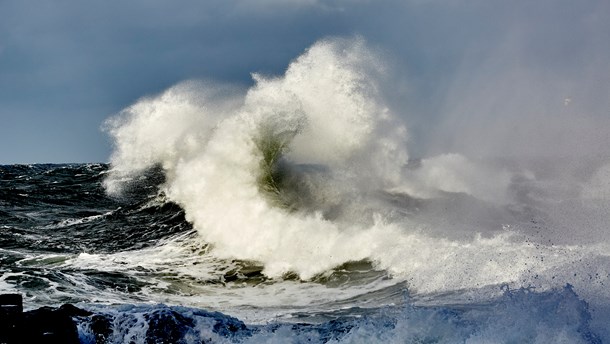 Aktør: Vi mangler en strategi for Danmarks næste eventyr på havet