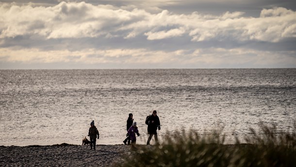 Steen Gade: EU-forslag kan blive banebrydende for natur og biodiversitet