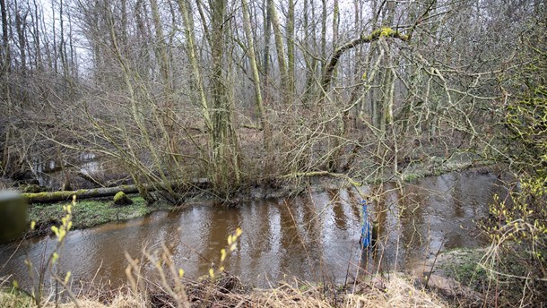 Biodiversiteten er ringere end nogensinde, skriver Tom Heron.