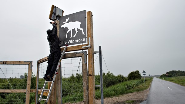 Aktører trods ny aftale: Det haster med mere plads til naturen