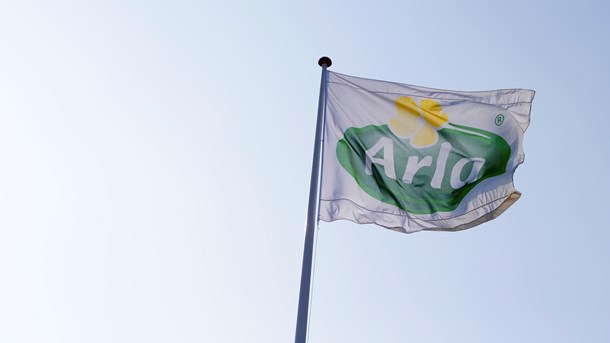 Frej til Arla: Det bedste rod er det, man slet ikke skaber