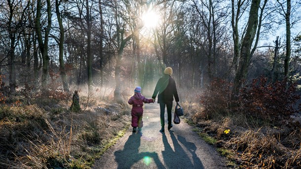 Beskyttelse af naturen og friluftsliv skal gå hånd i hånd i de nye naturnationalparker, skriver Jacob Jensen (V) og Niels-Christian Levin Hansen.