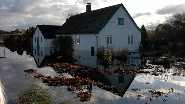 I 2006 blev knap 40 huse på Omø sat under vand ved stormfloden i 2006. I dag er der bygget kystbeskyttelse og højvandssikring efter flere års kamp fra øboernes side, skriver Dorthe Winther.