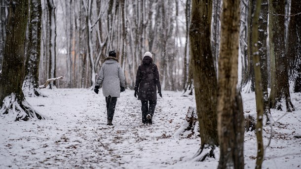 Friluftsrådet: Selv embedsmænd har ikke overblik over naturlovgivningen