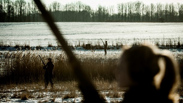 Skovejere og landmænd kan ikke se behovet for et generelt forbud mod jagt eller skovdrift i Natura 2000-områder, skriver Lone Andersen og Peter A. Busck.