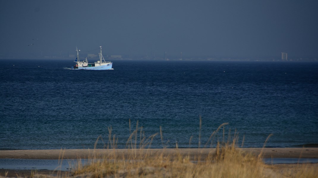 Debat: Vi har et demokratisk problem med forvaltningen af havet