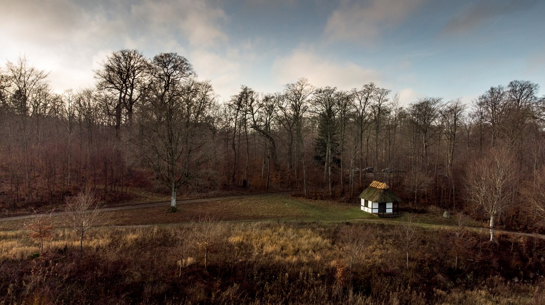 DF: Hvad skal vi med både Naturfonden og Skovfonden?