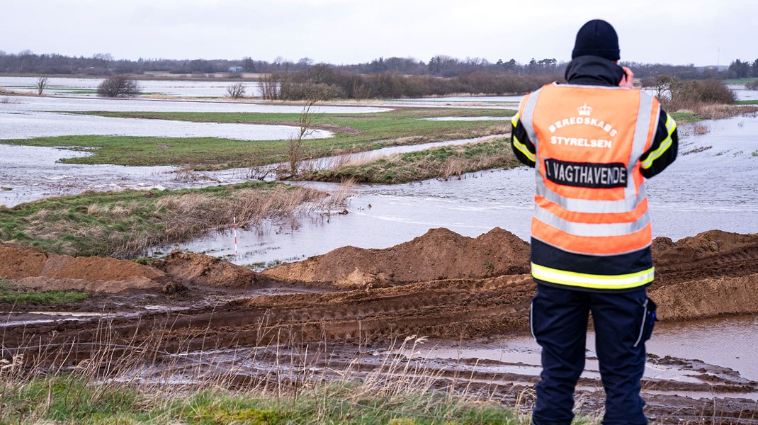 Grønt overblik: Det skal du holde øje med i denne uge