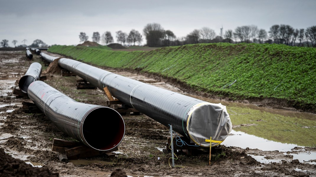 Klimaaktivist om gasledning: Enten lyver Dan Jørgensen, eller også er han ekstremt dårligt rådgivet af sit embedsværk