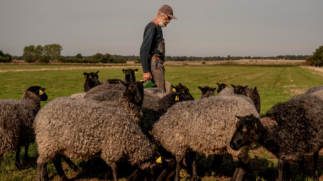 Et fokus på bæredygtighed skal tiltrække flere folk til landsbyerne, skriver Steen Gade.