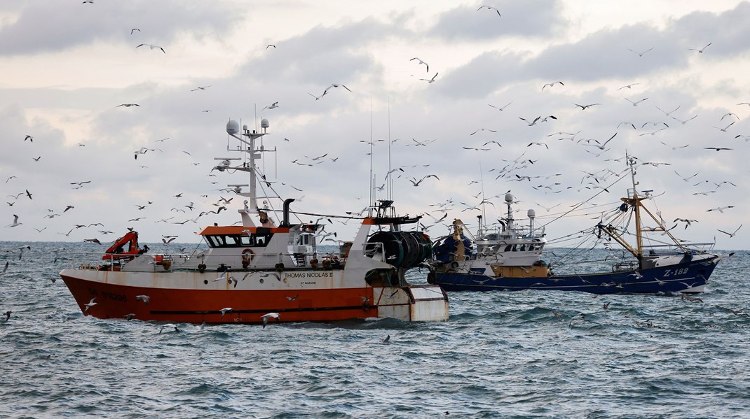 Kameraer er en effektiv kilde til indsamling af data af høj kvalitet om fiskebestandenes størrelse og tilstand, som sikrer, at fiskebestandene fortsat er sunde til glæde for ikke mindst fiskeriet, skriver Berit Asmussen.