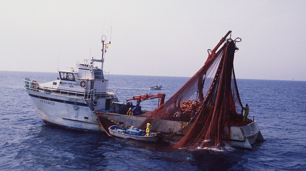 DN og fiskeriforening vil beskytte 10 procent af havet