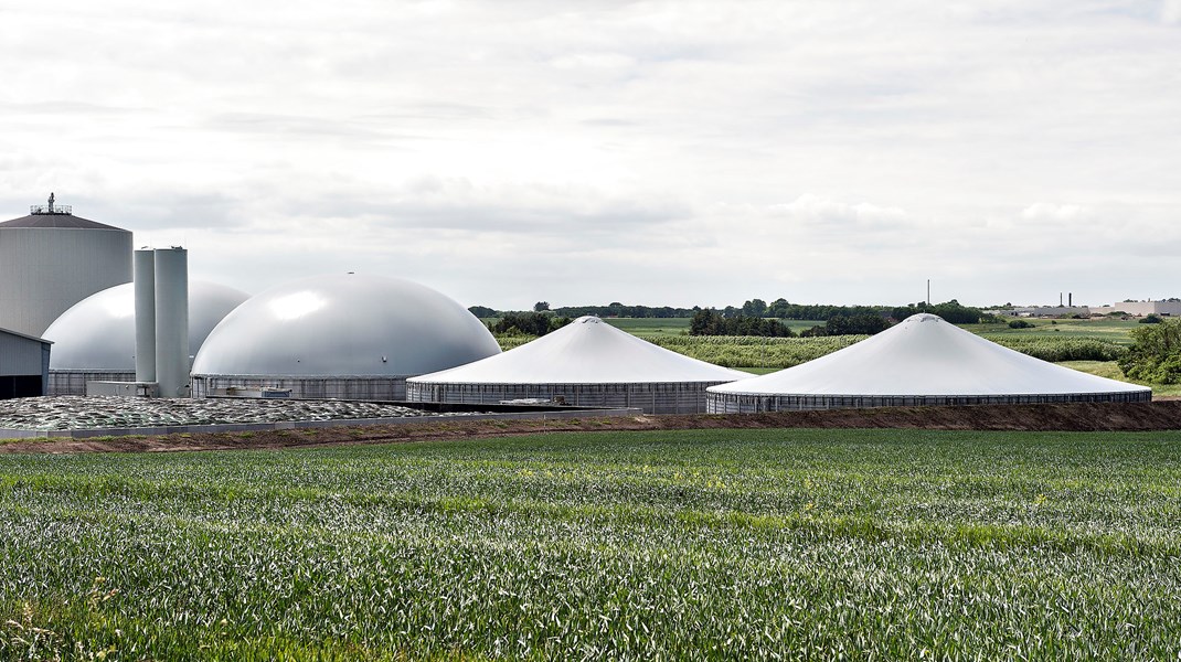 Biogas Danmark: Øget biogasproduktion giver bedre vandmiljø