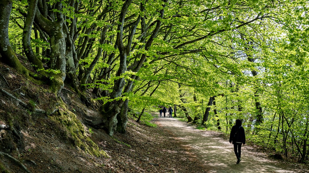 Naturstyrelsen efter kritik fra Horesta: Vi har ikke patent på overnatningstilbud i naturen