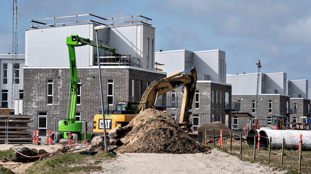 Renovation og udvikling af boliger skal sikre en nødvendig variation i boligtilbud, der henvender sig til folk med forskellig alder, livsstil og økonomi, mener professor Claus Bech-Danielsen.