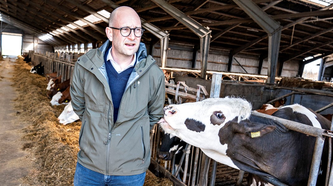 Rasmus Prehn anbefaler at spise mindre kød af hensyn til klimaet og vores helbred. Men offentlige kroner fra den danske Svineafgiftsfond går til kødkampagner. Sammenhængen er svær at få øje på, skriver Helene Hagel.