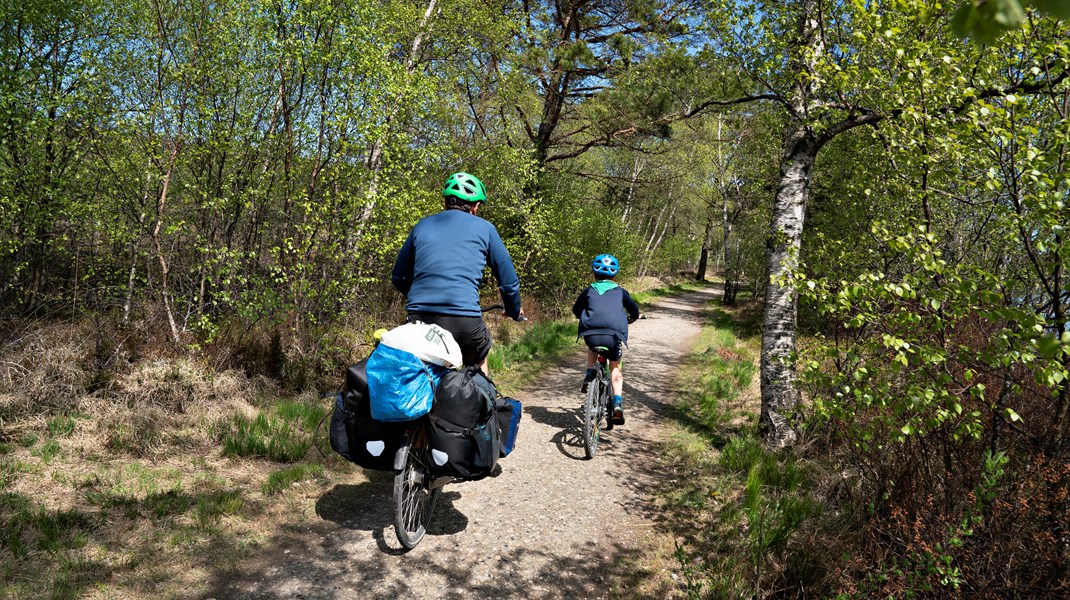 Der bør etableres et nationalt netværk af stier og ruter, der binder de store naturperler og lokale knudepunkter sammen, skriver Friluftsrådets formand.