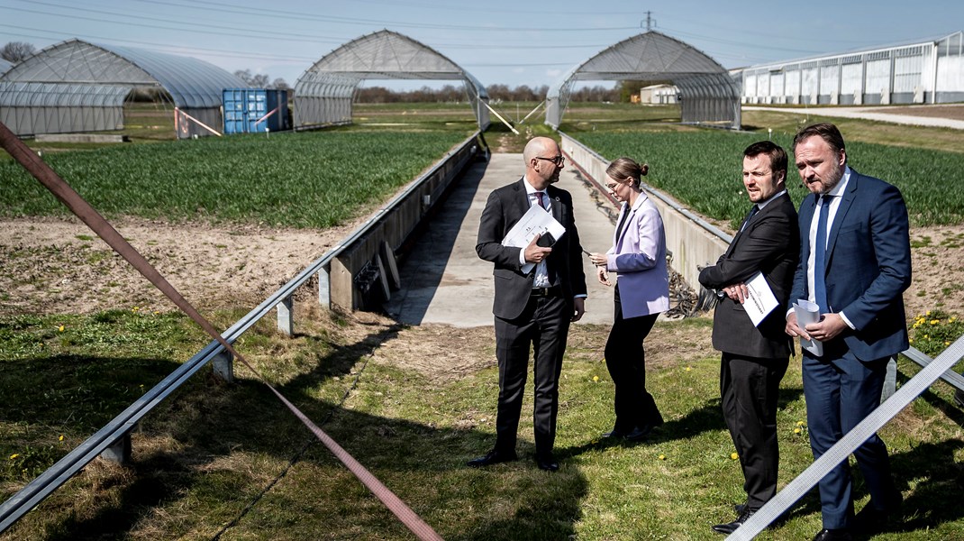 Dansk Erhverv: EU-regler spænder ben for enormt klimapotentiale