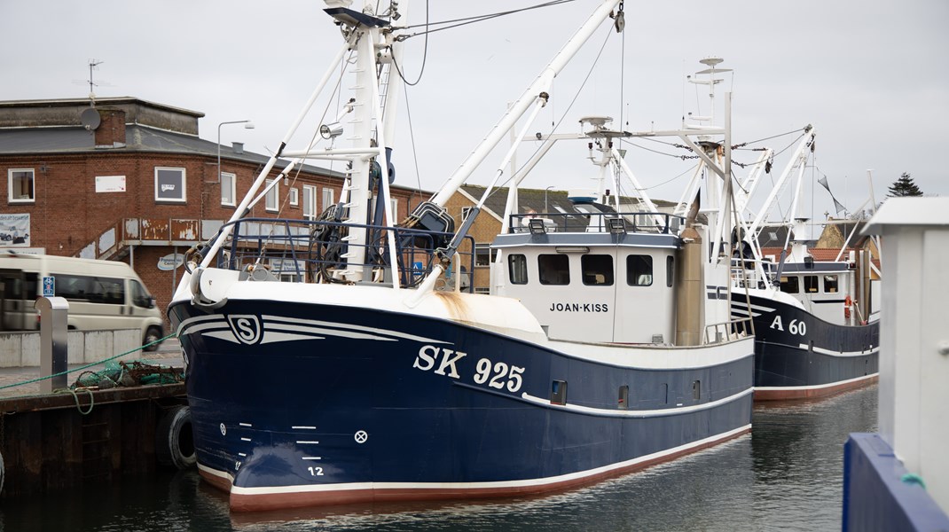 Vi håber, at Ramus Prehn (S) vil vælge kystfiskeri, mangfoldighed og en fremtid med både store og små i Limfjorden, skriver Reinhardt Schmidt og Søren Jacobsen.