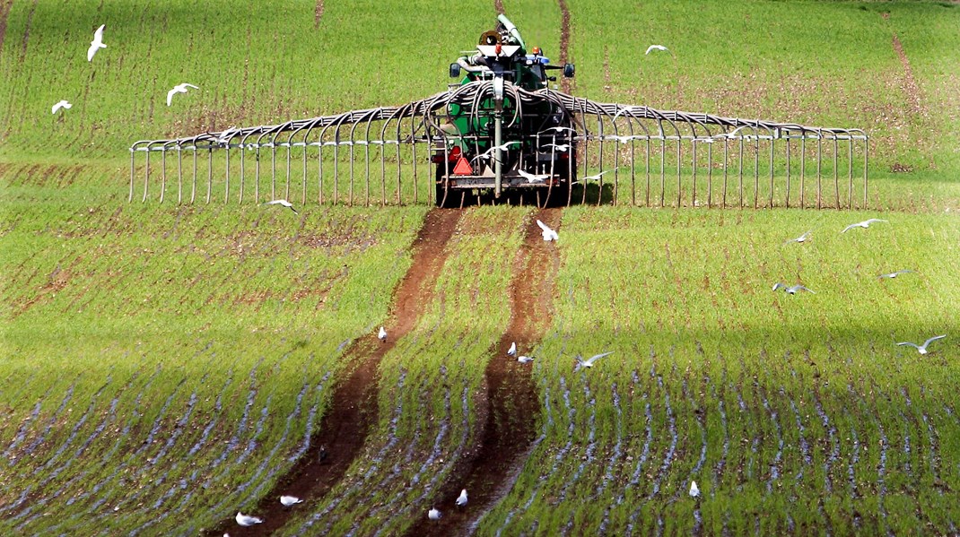 Danmark kan sagtens tjene penge på at eksportere fødevarer af høj kvalitet uden at bruge den uholdbare mængde plads og CO2 på det, vi gør i dag, skriver Monika Skadborg.