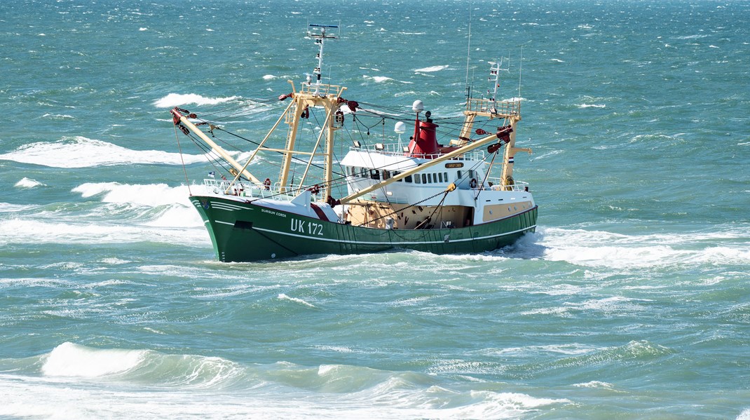 Fiskeri med bundtrawl ødelægger biodiversiteten på den danske havbund, skriver Karen Melchior (R), Martin Lidegaard (R) og Marius Aggerholm (RU).