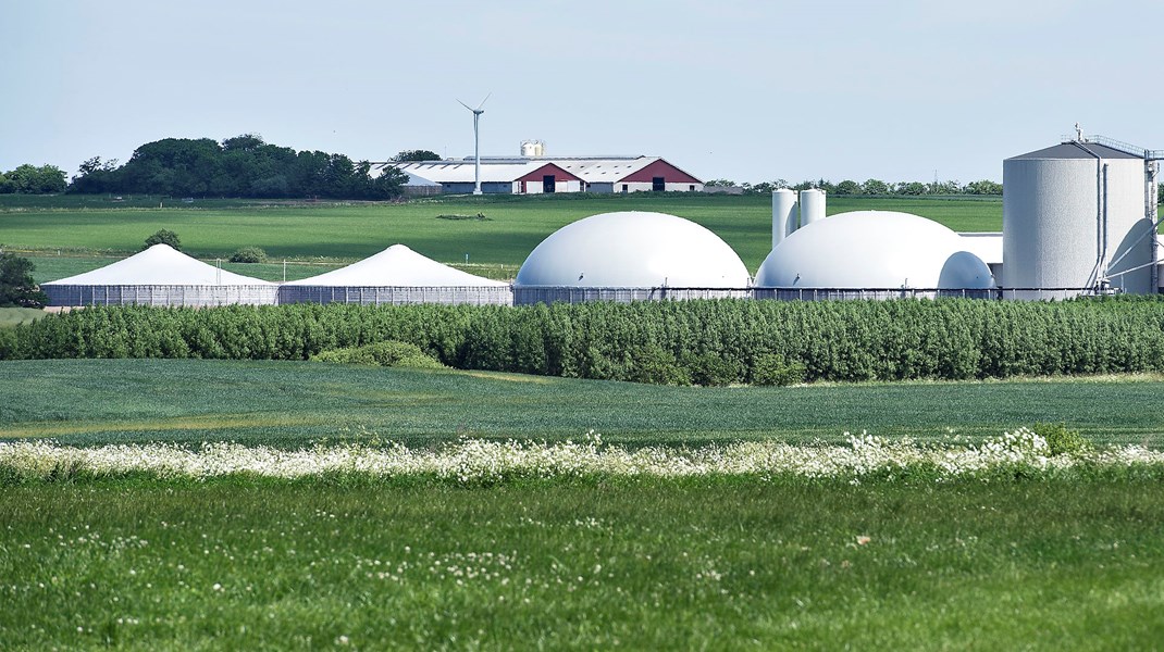 Nyt vokseværk for støtte til biogas: Vismand advarer mod dyrt betalte klimagevinster