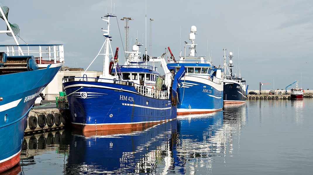 Der er områder, hvor fiskeri med trawl sagtens kan gennemføres uden de konsekvenser, som Radikale maner frem i deres skræmmebillede, skriver Svend-Erik Andersen.