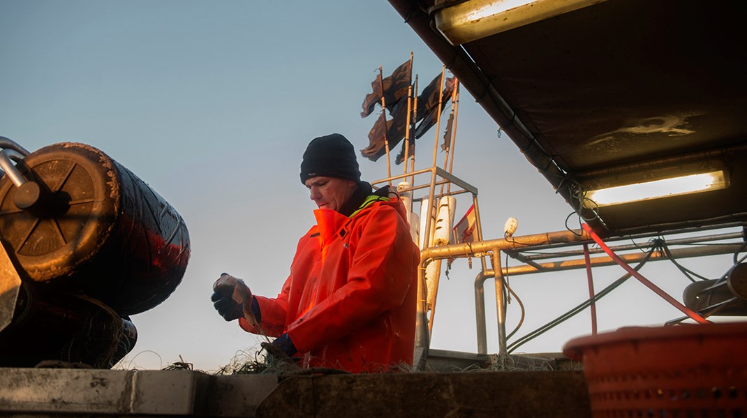 Skånsomme fiskere lancerer ti-punktsplan