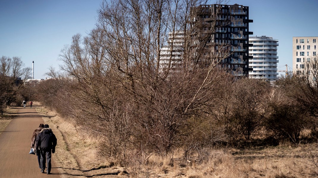 Friluftsrådet og Green Cities: Vi mangler politisk handling for mere bynær skov