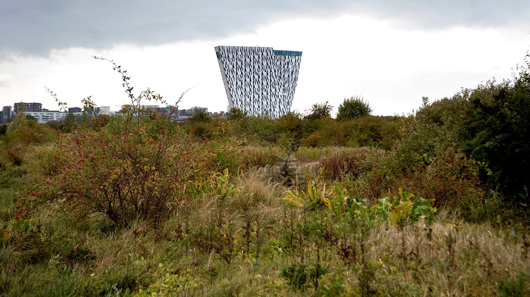 Boligbyggeri på Amager Fælled var onsdag centrum for et samråd med både miljøministeren og boligministeren. 