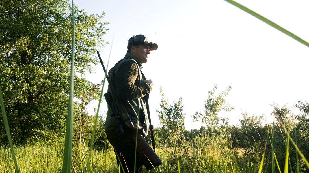 Jæger: Modstand mod udsætning af fuglevildt handler hverken om dyrevelfærd eller biodiversitet