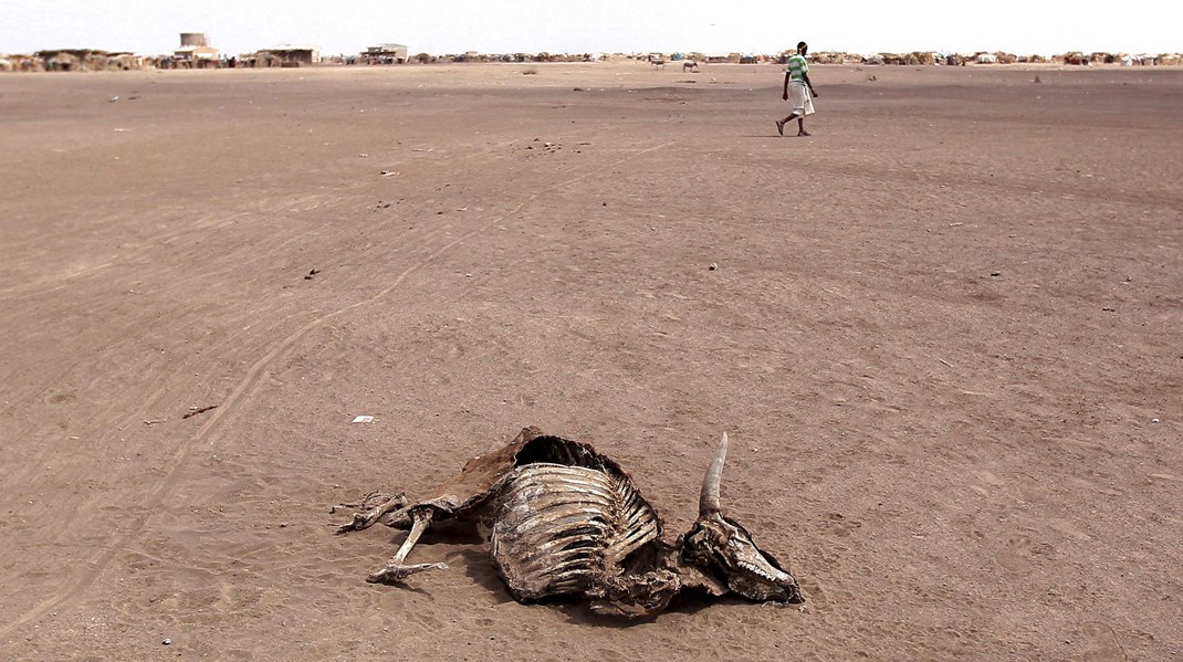 Tørke i Etiopien i 2016. Her mødte Care 28-årige Qadan fra Etiopien i en flygtningelejr i Somalialand. Qadan var på flugt fra klimakatastroferne. Arkivfoto.