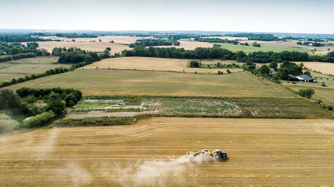 Danmark får kritik for at have alt for lidt natur og meget ringe biodiversitet. Danmark er det næstmest opdyrkede land i verden, skriver Steen Gade.