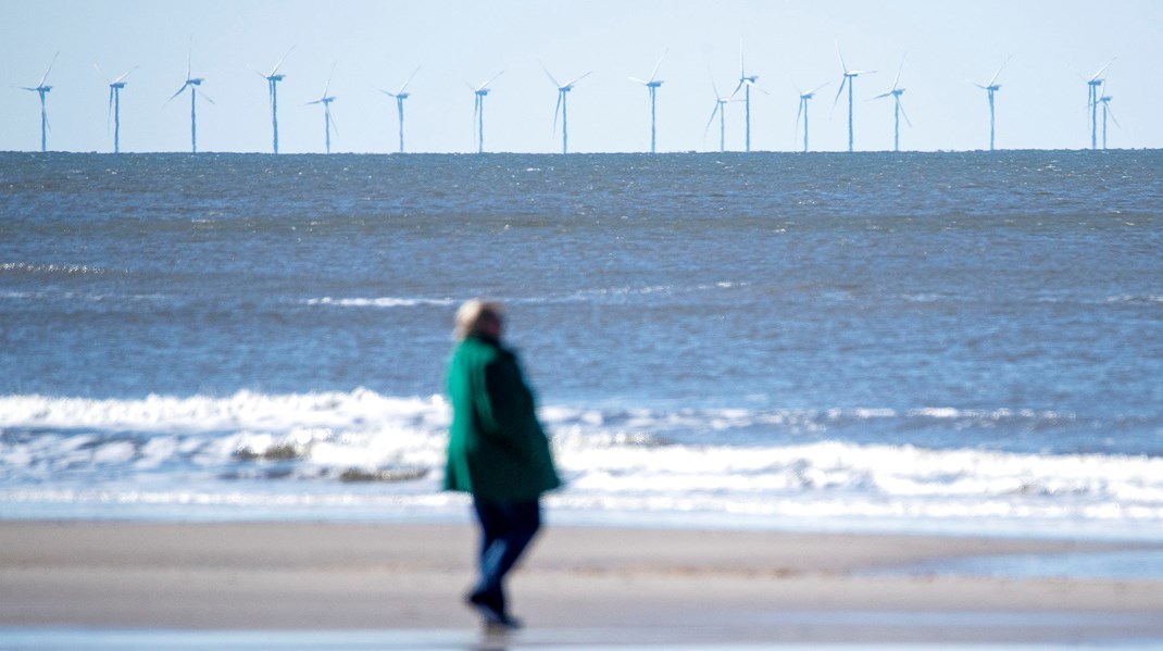 Der er reserveret store arealer til havvind, men det er mest af alt de store statslige udbud og energiøerne, der skal ligge der. Og de leverer på ingen måde nok grøn strøm til at nå reduktionsmålene i 2030, skriver Lea Bigom Wichmand.