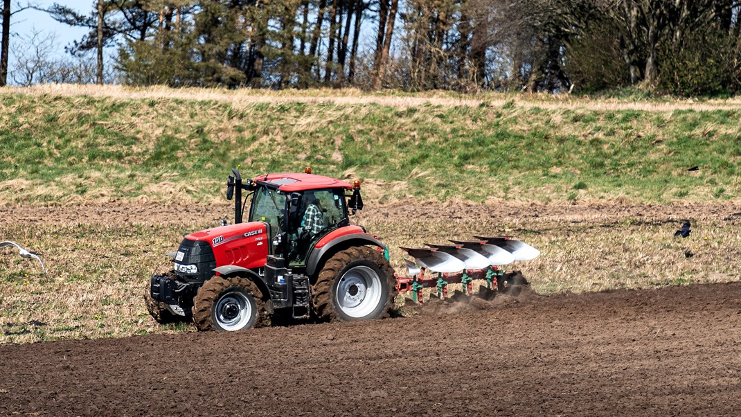 Mere
plantebaseret fødevareproduktion er ikke kun godt for planeten, men vil også
kunne gøre dansk landbrug mere robust samt bidrage til både jobskabelse og
profit, skriver Christian Bugge Henriksen.