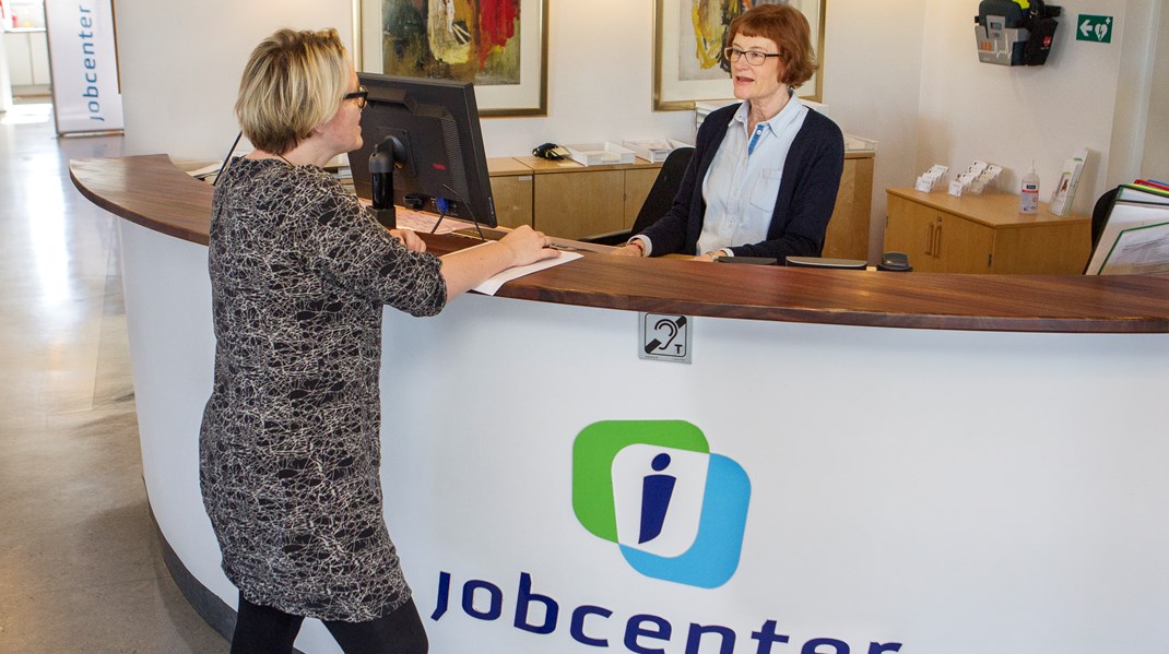 Der findes masser af eksempler på, at jobcentrene er i stand til at udføre deres arbejde, skriver Eik Møller og Willy Feddersen. 